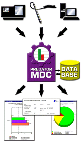 Predator MDC Software workflow